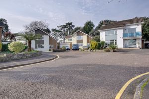 Street View- click for photo gallery